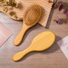 Molain 10 cepillos de pelo de bambú, cepillo de paleta