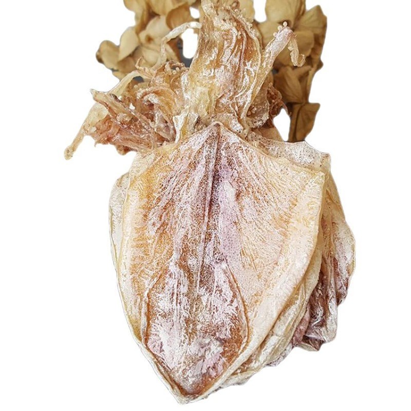 Dried Squid Dried Cuttlefish (100g(3.53oz))