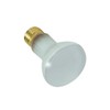 SATCO S7001 POOL LIGHT 130V =120V 100W R20 Flood Bulb Dimmable Frosted Medium E26