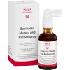 WALA ECHINACEA MUND- und Rachenspray 50 ml