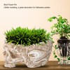 Innovative Resin Skull shaped Flower Pot Succulent Planter Holder Ornament