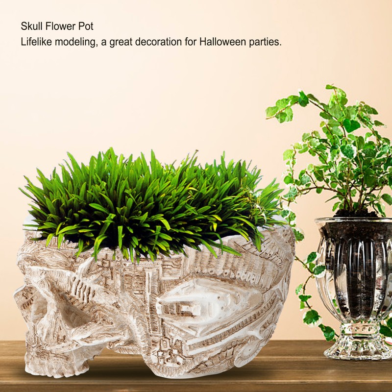 Innovative Resin Skull shaped Flower Pot Succulent Planter Holder Ornament
