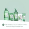 Yves Rocher PURE MENTHE Clarifying Exfoliating Face Care with Organic