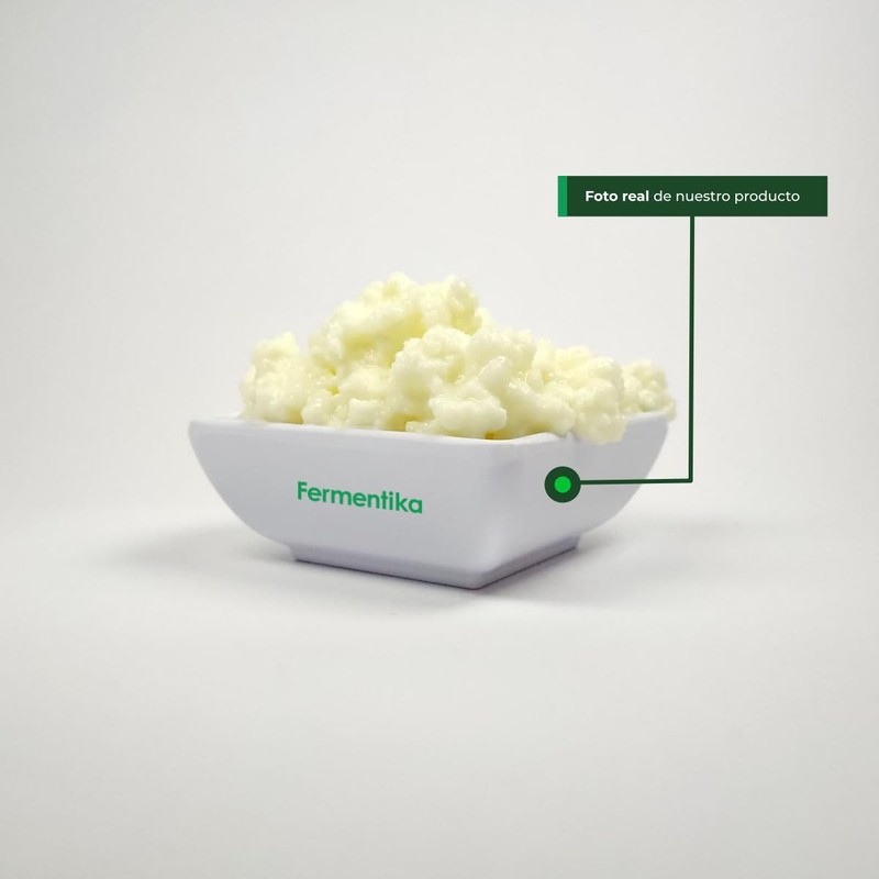 Búlgaros De Leche Vivos | Búlgaros kéfir Orgánico 30 gramos