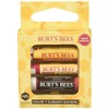 Burt's Bees Kit de regalo color y cuidado natural