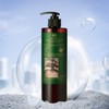 BienStore SoHair Bakuchiol Hair Loss Shampoo Scalp Oily Scalp 500g