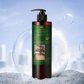 BienStore SoHair Bakuchiol Hair Loss Shampoo Scalp Oily Scalp 500g