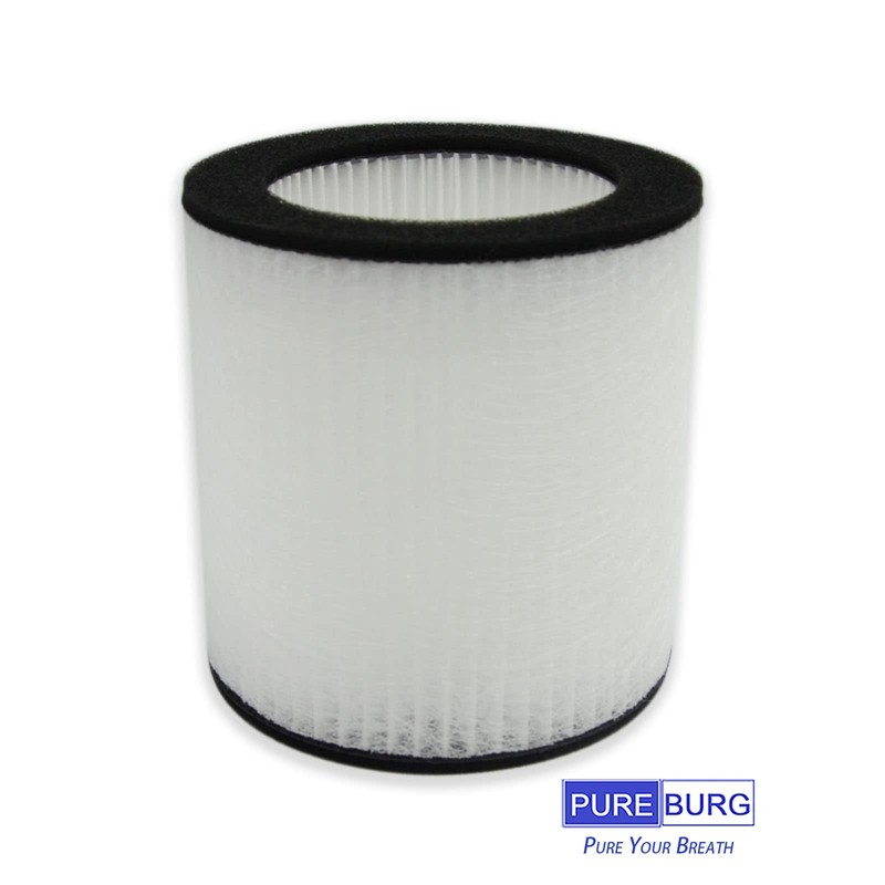 PUREBURG 2-Pack Replacement HEPA Filters Compatible with HIMOX H07 portable