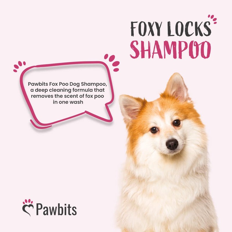 Pawbits Foxy Locks Dog Shampoo For Smelly Dogs to Help
