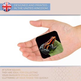 Destination Vinyl ltd Fridge Magnet - Red Striped Poison Dart Frog 16203
