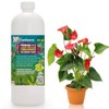 GARDENERA Premium 3-1-2 All Purpose Liquid Fertilizer Consentrate for All