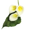 PME 103FF041 JEM Life Size Arum Lily & Leaf Cutters,