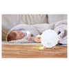 Hape Sleeping sheep Suse