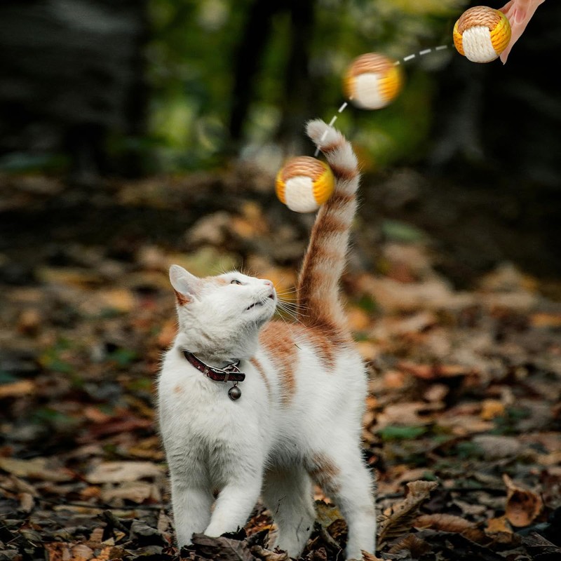 Lotsdonxia 4 Pcs Sisal Cat Toy Balls, Interactive Pet Rolling