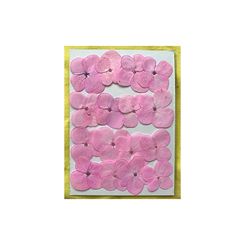 Fukusan Pressed Flower Pack Hydrangea Pink FUK-1034