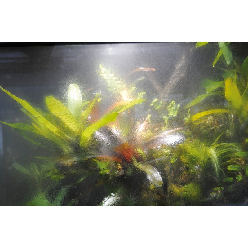 Lucky Reptile Terra Fan TF-1 Ventilation Set for Terrariums