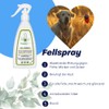 Shampoo for dogs and cats with colloidal silver and essential