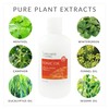 Wellness Living Tonic Oil - Chinese Herbal Therapy