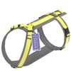 STUCH Dog Harness - Adjustable Nylon Harness - Padded -