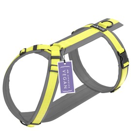 STUCH Dog Harness - Adjustable Nylon Harness - Padded - for Small, Medium and Large Dogs (Lime, S)