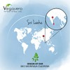 Organic Moringa Oleifera Capsules 1800mg Vegavero® | No Additives |