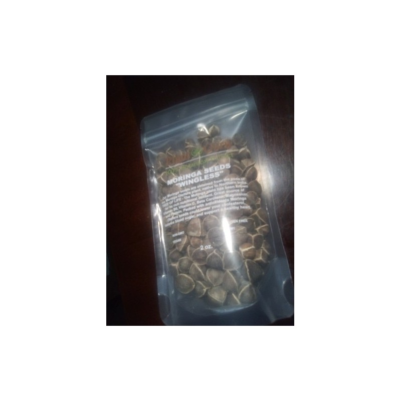 200 Moringa Oleifera Seeds 2 oz. WINGLESS Fresh Organic Semillas
