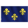 France Bourbon Flag 3x5Ft,100D Polyester for Moderate-Outdoor&Indoor, 36x60inch Fleur-de-lis Multi