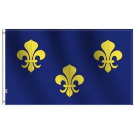 France Bourbon Flag 3x5Ft,100D Polyester for Moderate-Outdoor&Indoor, 36x60inch Fleur-de-lis Multi Blue and Gold Drapeau New French Royal Banner House Decoration Yard Gift