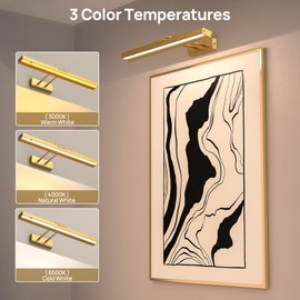 PESUTEN 2PCS Picture Light Battery Operated, 16in Wireless Art Light for Paintings CCT Dimmable Recharging Battery Picture Light with Remote Control for Gallery Dartboard Bedroom Bathroom Gold