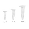XHBTS 50 Pcs Centrifuge Tubes Bottom Tip Clear Plastic Test