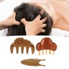 Sandalwood Meridian Comb Nose Massager Rosewood Scalp Massage Comb Set