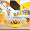Mango Cutter, Stainless Steel Mango Divider Blade, Used for Mango