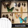Fpxnb 350 Pcs Stainless Steel Insect Pins in 7 Sizes,