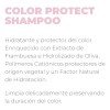 Duo Shampoo Y Acondicionador 1lto Color Protect Framesi