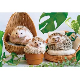 Beverly 300-138 Piece Jigsaw Puzzle Hedgehog Happiness Time (10.2 x 15.0 inches (26 x 38 cm), Made in Japan
