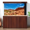 Red Rocks Reptile Tank Background Sunset Gobi Desert Reptile Enclosure