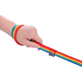 AMAGOOD 6 FT Puppy/ Dog Leash, Strong and Durable Traditional Style Leash with Easy to Use Collar Hook, Great for Small and Medium Dogs (3/4 in x 6 ft(Pack of 1), Rainbow)