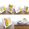 SSP09 Preserved Flowers Photo Frame, Parfait Campagne Gerbera Orange White,