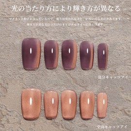 emigoro Magnetic Gel Gel Nail Aurora Mag09 Single Color, Large Capacity, 0.5 fl oz (15 ml), Magnetic Nail, Color Gel, Fine Particles, Cat Eye Gel, Glitter, For Beginners & Professionals, UV/LED