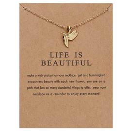 Inspirational HummingBird Necklaces for Women Birthday Gifts Best Friend Daughter Graduation Gift for Wife Girlfriend Anniversary Day Gifts Sparrow Bird Necklace Dove Pendant Necklace for Women