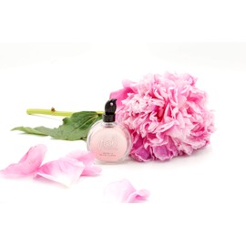 FRSH Scents FR8616 Air Freshener Deluxe Peony and Blush Suede, Pink