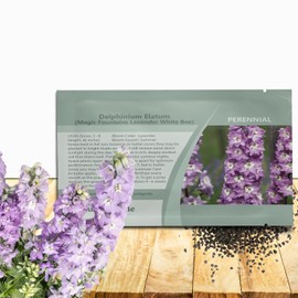 Outsidepride Magic Fountains Delphinium Seeds - 100 Pcs Perennial, Self-Seeding, Heat & Drought Tolerant Flower Seed for Planting Lavender Blooms for Cut Flower Arrangement, & Pollinator Garden