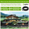 Syston Direct Burial Cat 6E Ethernet Network Cable 600 MHz,