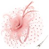 DRESHOW Fascinators Hat Flower Mesh Ribbons Feathers on a Headband