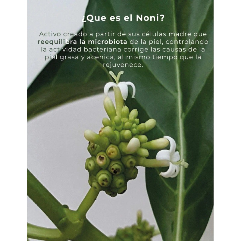 Suero Facial Piel Grasa Control De Acné Niacinamida Nunun Grasa