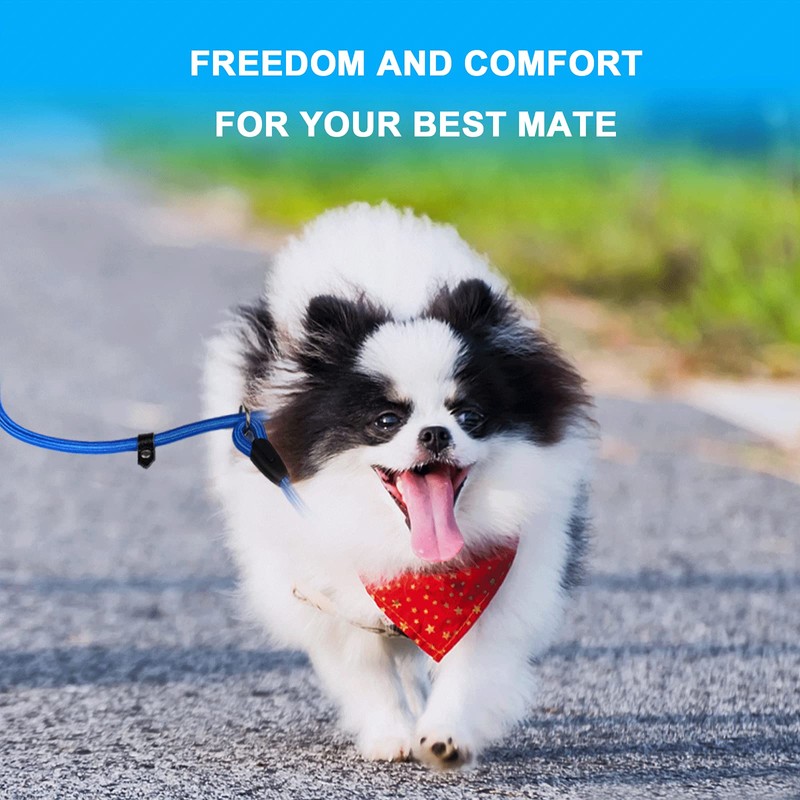 Dog Slip Leads Leash, 4.5FT Durable Puppy Rope Leashes Collar