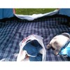 Wind Tour Family Outdoor Waterproof Durable Picnic Blankets with Carry