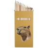 Azeeda 12 x 'Capybara Side View' Long 178mm Coloured Pencils/Pencil