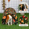 Hedgeink Guinea Pig Bed with Curtain Guinea Pig Tunnel Soft