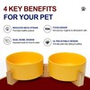 OniAnt Ceramic Dog and Cat Bowls with Wooden Stand, Modern